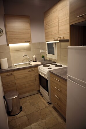 Fridge, microwave, oven, stovetop - feels like home with luxury details (Athina)