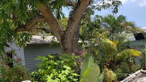 Property grounds - ATTRACTIVE Garden Apartment - 2 Bedroom - Free Wifi and ROKU (West Palm Beach)