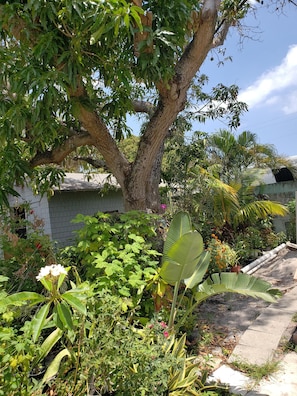 Property grounds - ATTRACTIVE Garden Apartment - 2 Bedroom - Free Wifi and ROKU (West Palm Beach)
