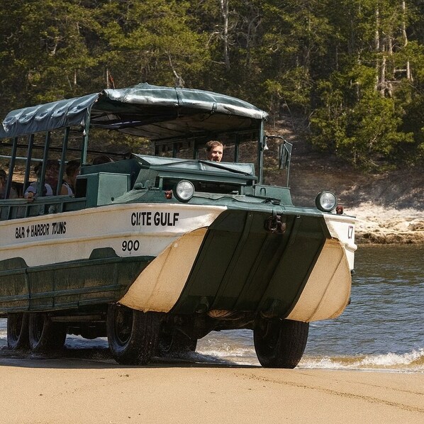 A military-style vehicle with a green and beige color scheme, labeled "CITE GULF 900," on a sandy beach with a forested background.