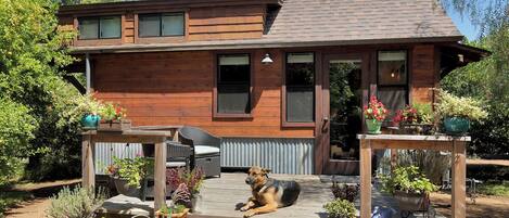 A wooden house with a deck, a dog, and potted plants.