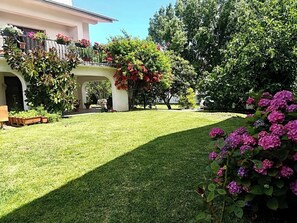 Property grounds - A cozy family house (Casa Sao Jose) (Figueira da Foz)