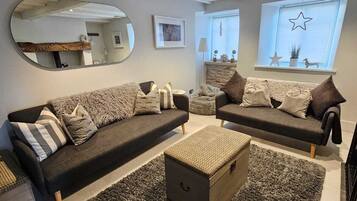 Smart TV, fireplace, books