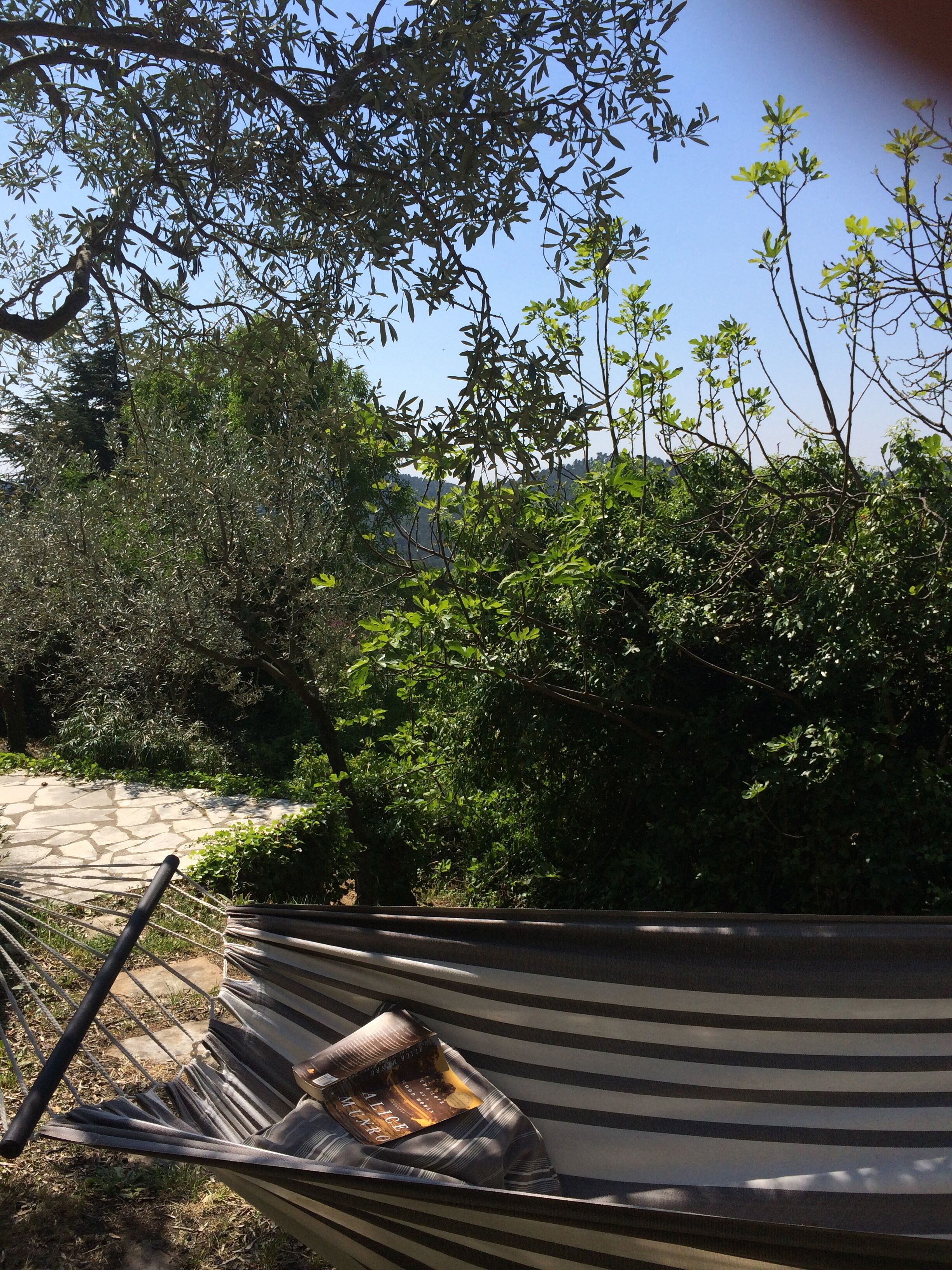 A hammock with a book on it, surrounded by greenery and a stone pathway.