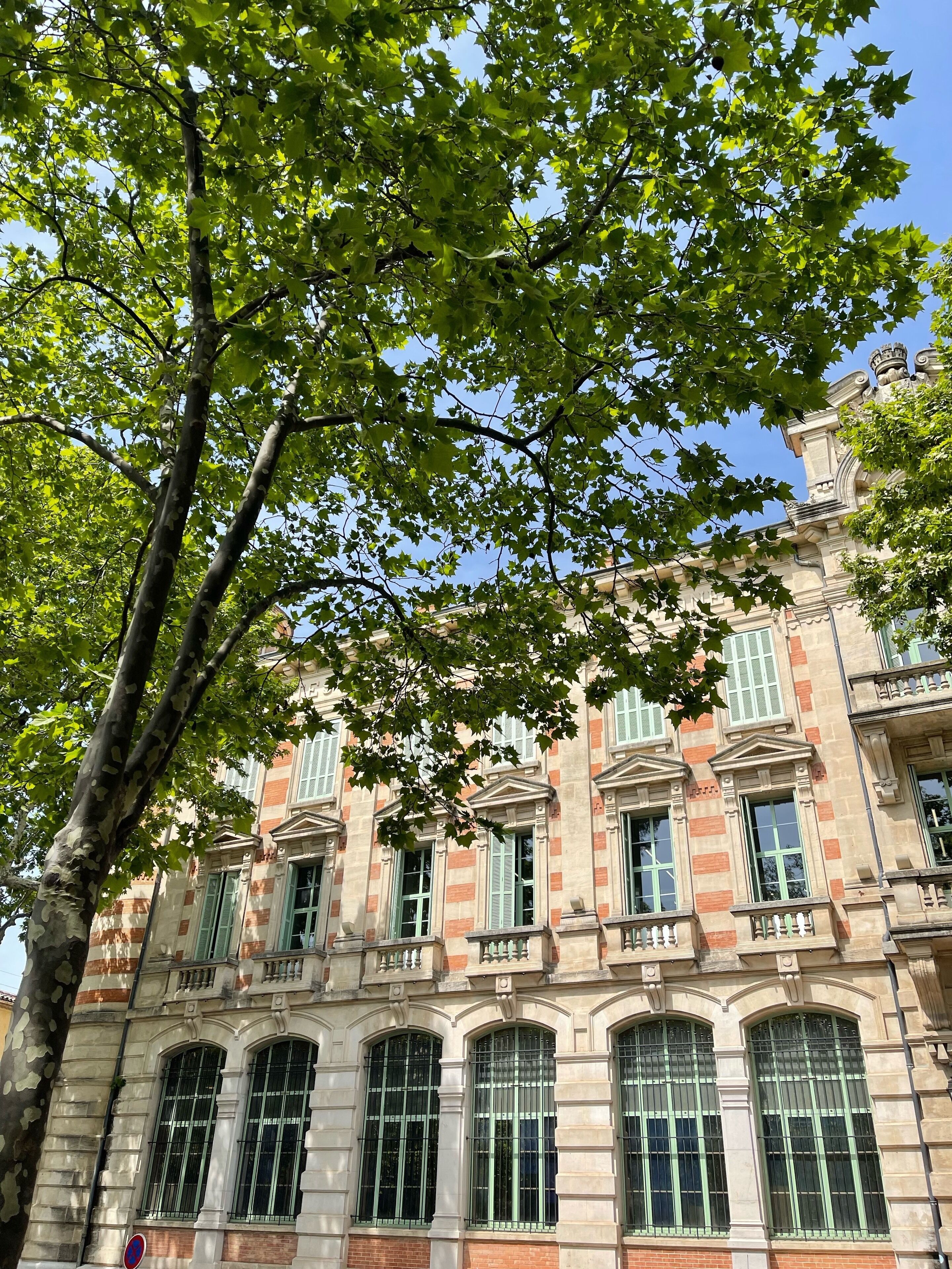 Ein historisches Gebäude mit klassischer Architektur, mit zahlreichen Fenstern und einem markanten Baum im Vordergrund.