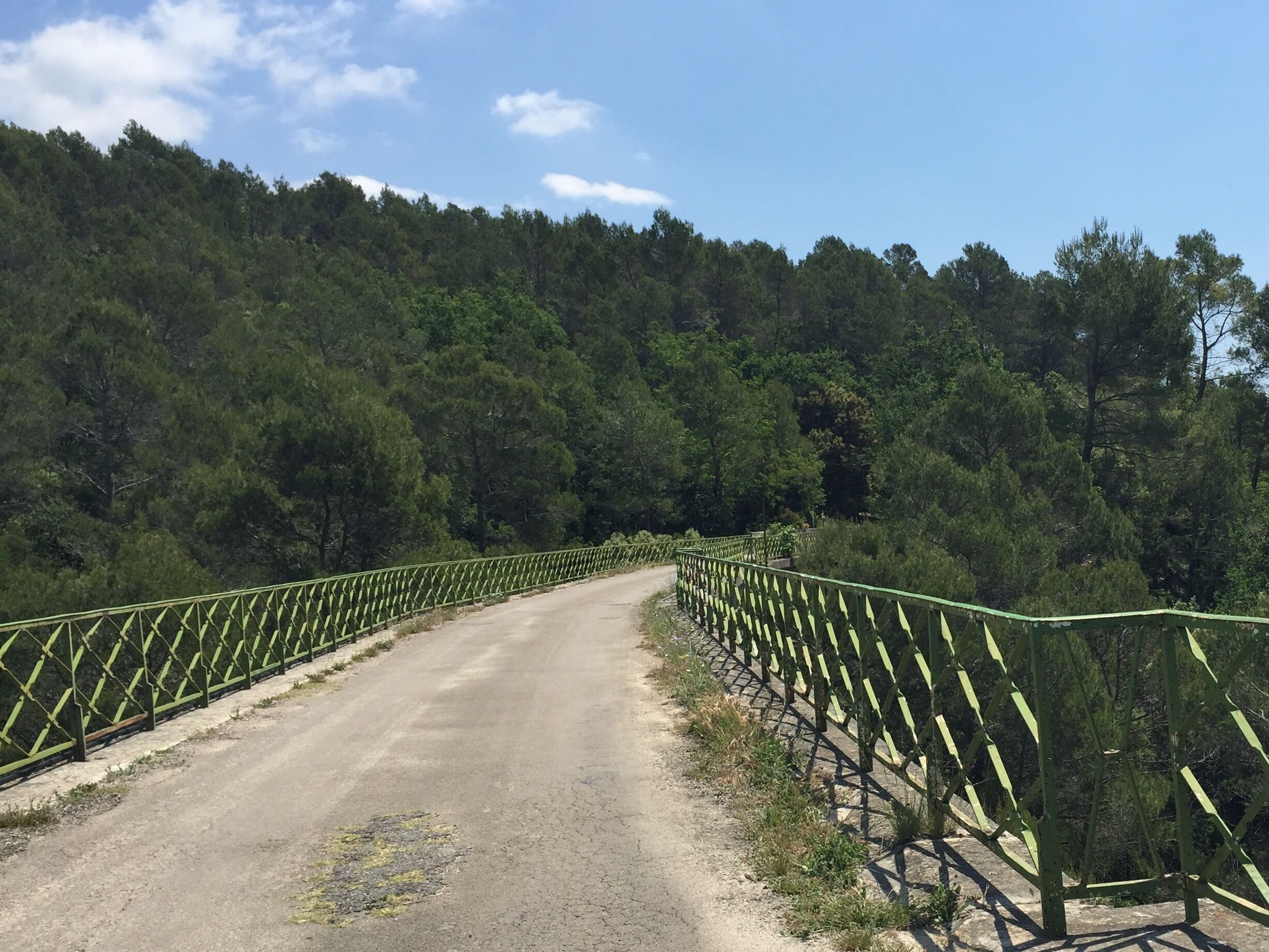 A paved road flanked by green metal railings, leading through a forested area.