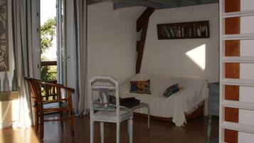 Televisie, een dvd-speler, boeken en een filmbibliotheek