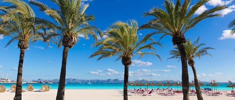 Plage à proximité