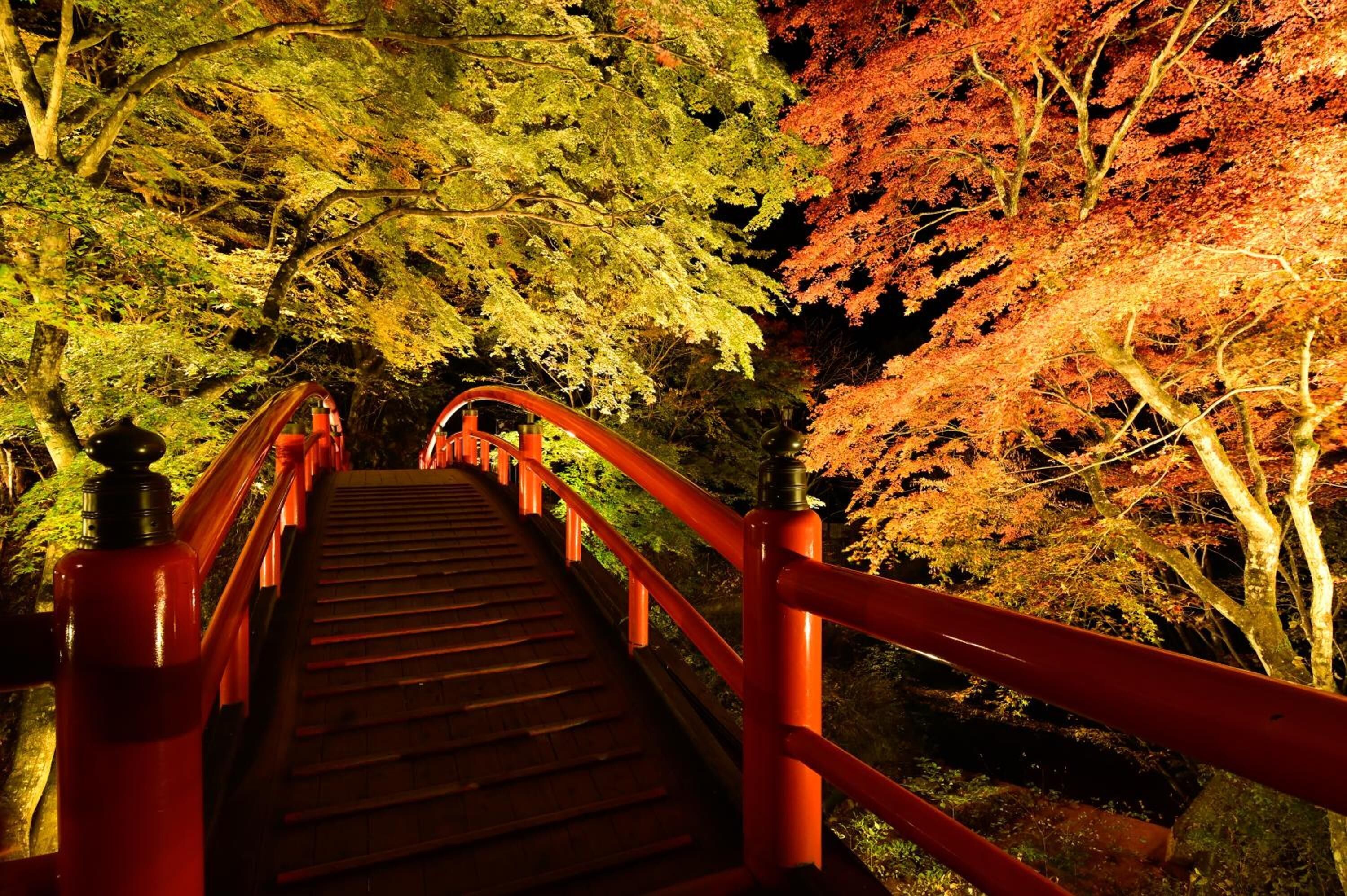 A wooden bridge with red railings in a forested area.