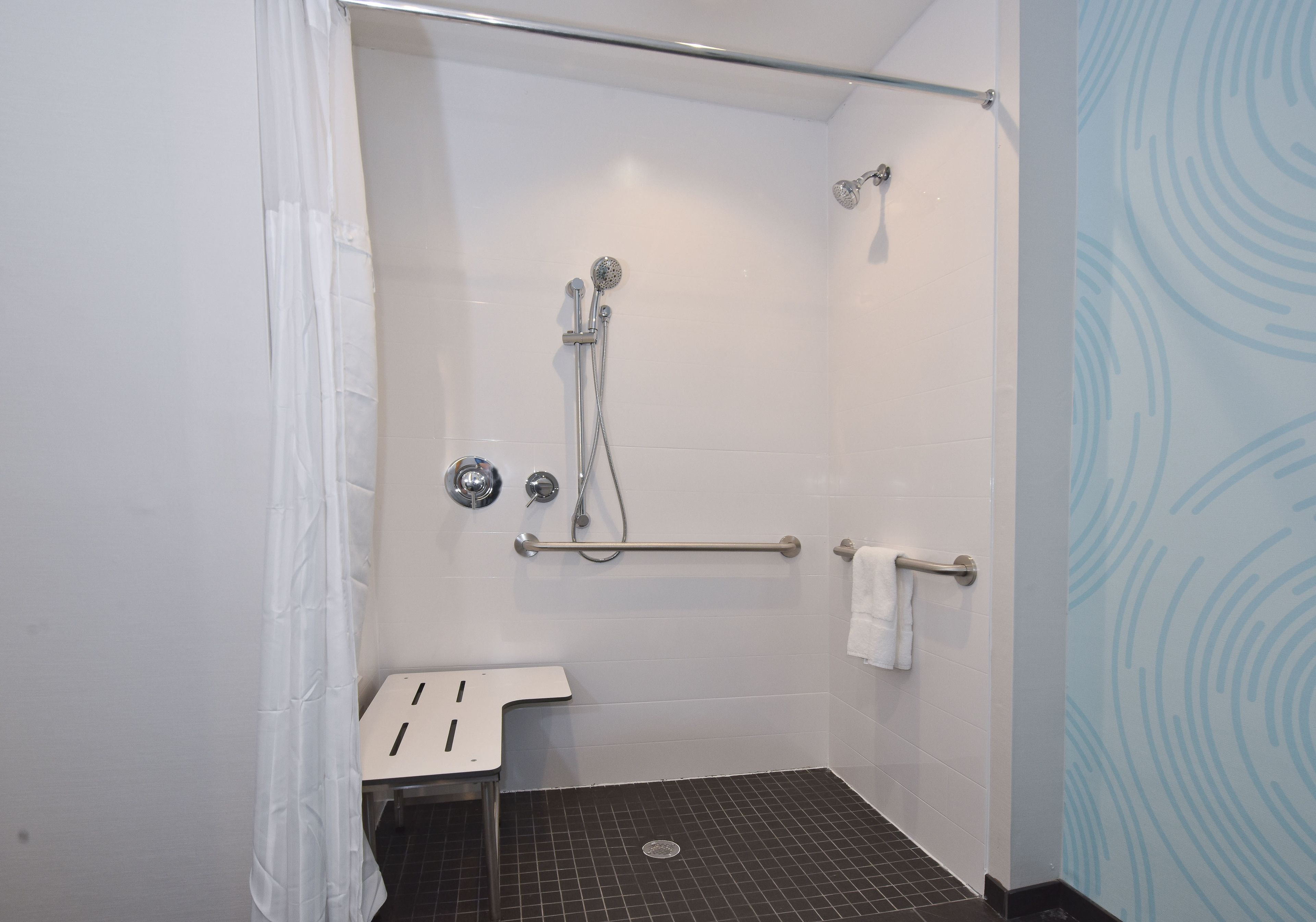 room, 1 king bed, accessible (roll-in shower, hearing) | bathroom | free toiletries, towels