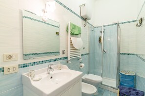 Shower, hair dryer, bidet, towels