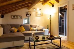 Televisión, chimenea, reproductor de DVD y libros 