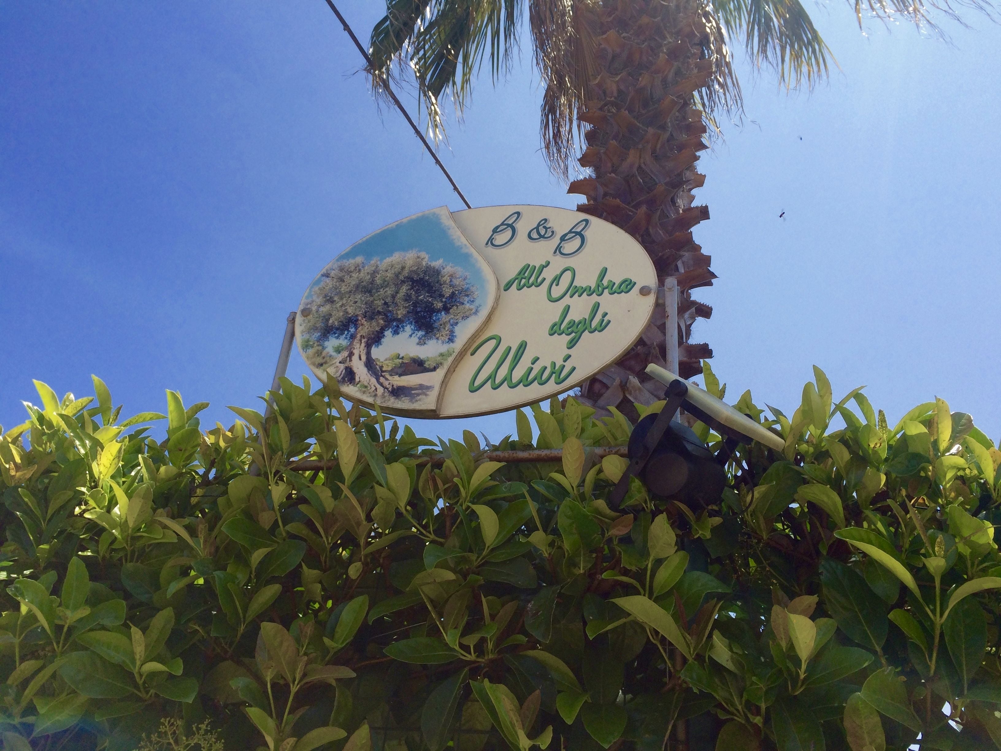 A sign with a tree and text, surrounded by greenery.