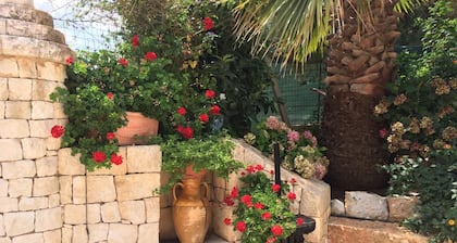 B&B All'Ombra degli Ulivi