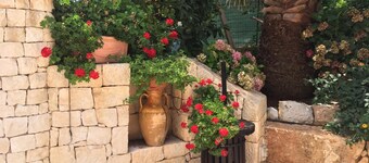 B&B All'Ombra degli Ulivi