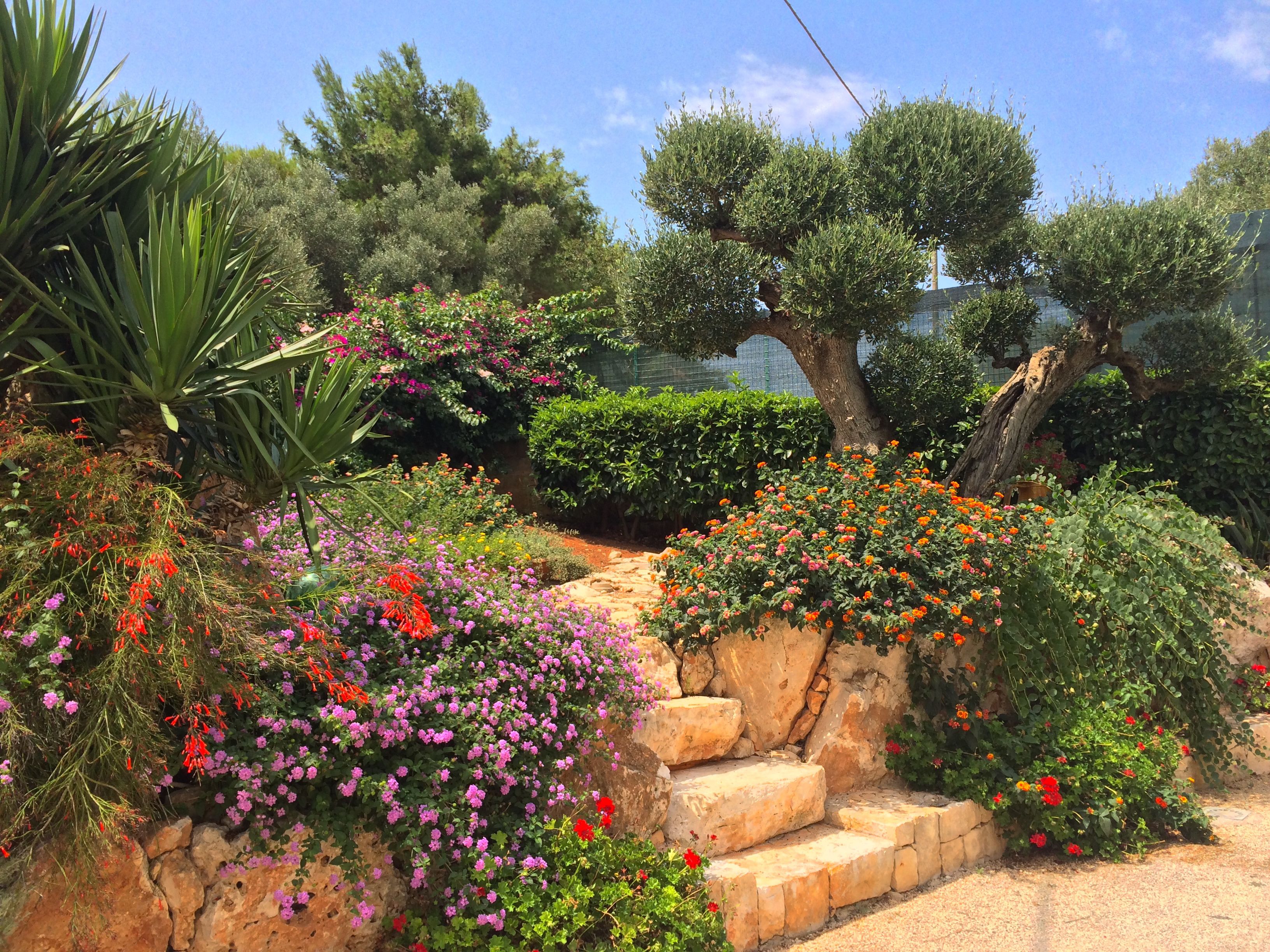 Superior Double Room, Garden View | Garden