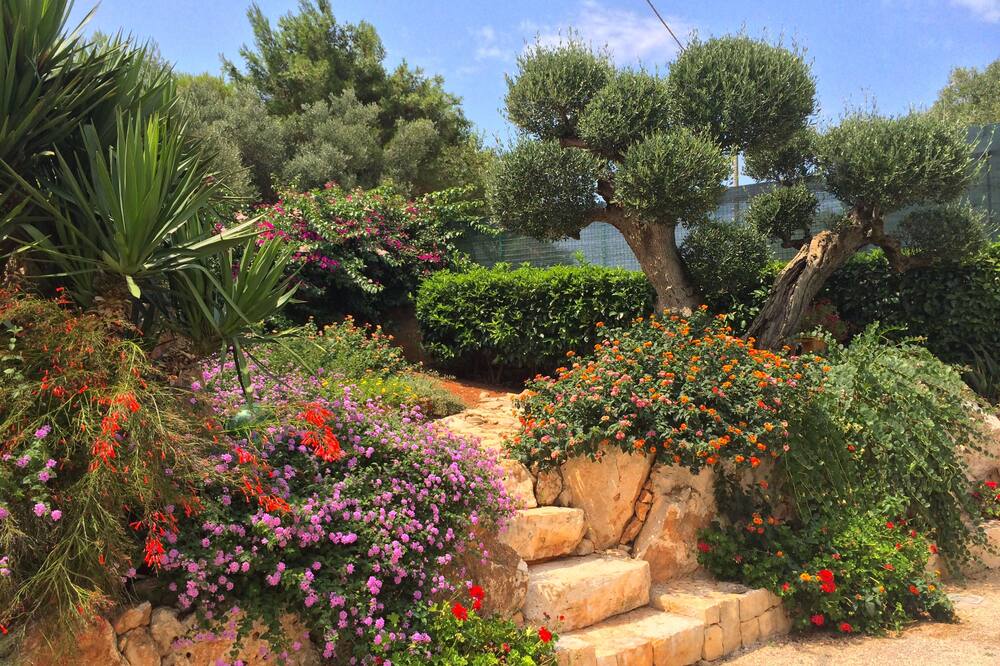B&B All'Ombra degli Ulivi