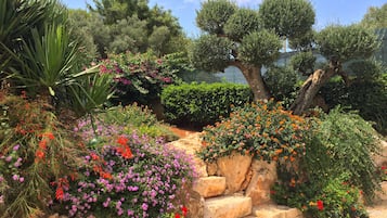 Habitación doble superior, vistas al jardín | Jardín