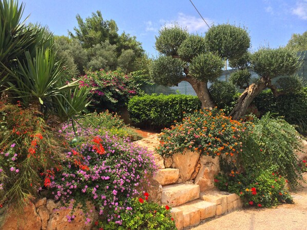 Superior Double Room, Garden View | Garden - B&B All'Ombra degli Ulivi (Ostuni)