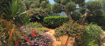 B&B All'Ombra degli Ulivi