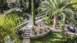A landscaped garden with a stone pathway, palm trees, and a variety of shrubs. - Elisa Villa (Mylopotamos)