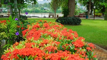Park view