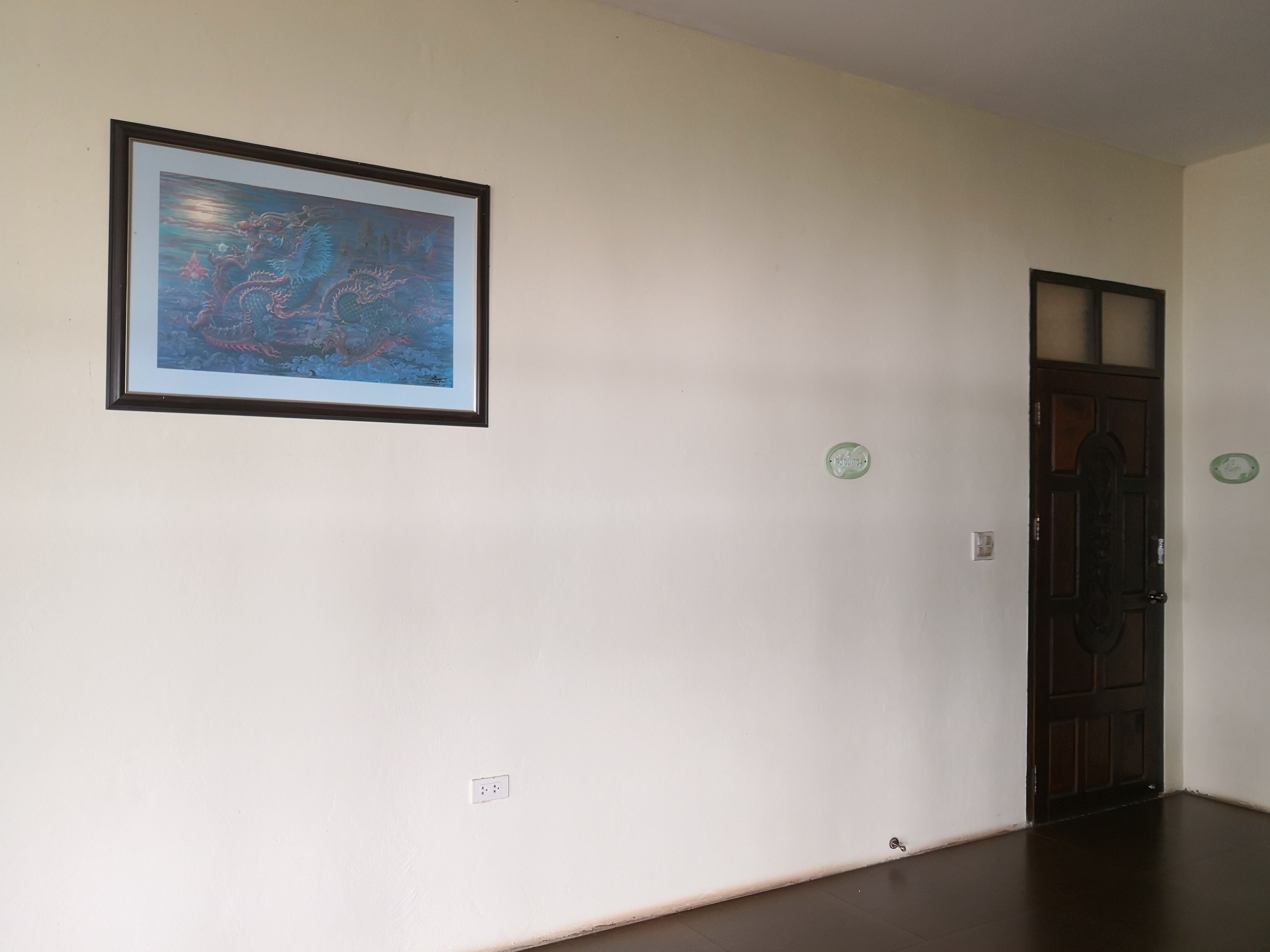 Un pasillo con una obra enmarcada en la pared, una puerta de diseño tradicional y un interruptor de luz.
