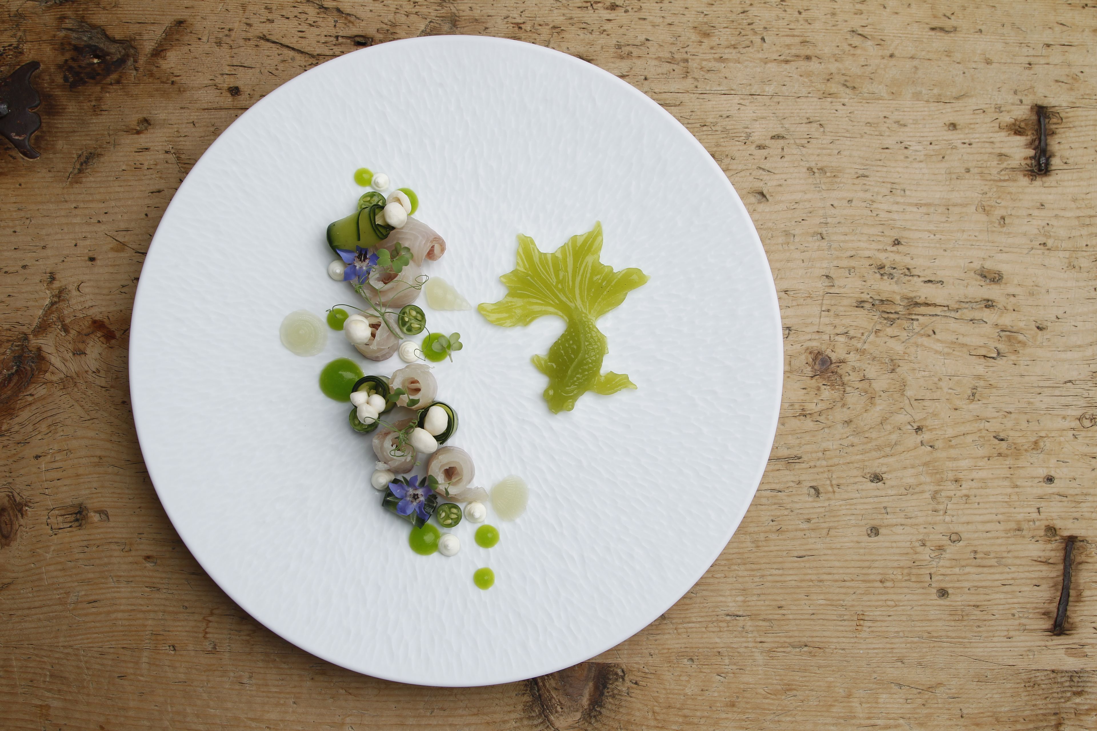 A white plate with a green leaf-shaped garnish and a line of food items.