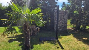 A garden area with a palm tree, a stone wall, and a metal structure. - Modern holiday house, relax in the countryside on one level (Karlshagen)