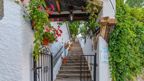 A narrow stone staircase with a metal gate at the top, surrounded by white walls and potted plants. - Hotel La Fragua II (Trevelez)