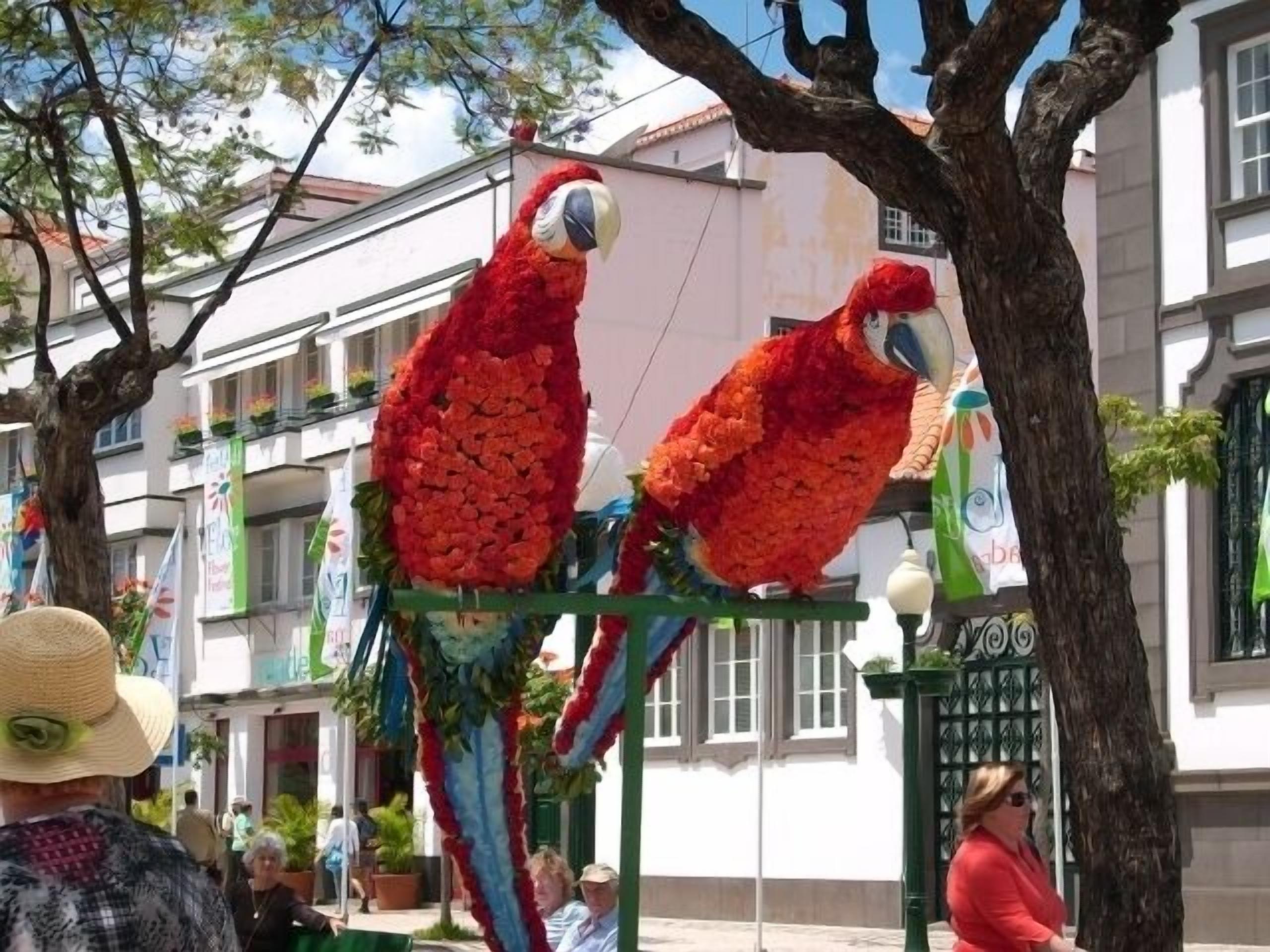 Une scène de rue avec une installation décorative composée de deux grandes sculptures de perroquets aux couleurs vives.