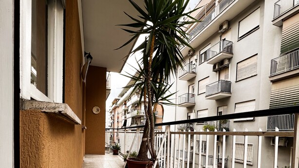 A narrow corridor with a tiled floor, a potted palm tree, and a railing. - Musei Vaticani Rooms (Rome)