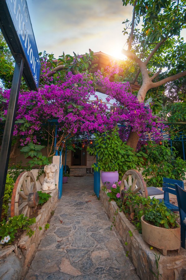 Garden - Thetis Pansiyon (Datça)