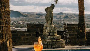 Un espace piscine agrémenté d’une statue en pierre, d’un verre et de palmiers.