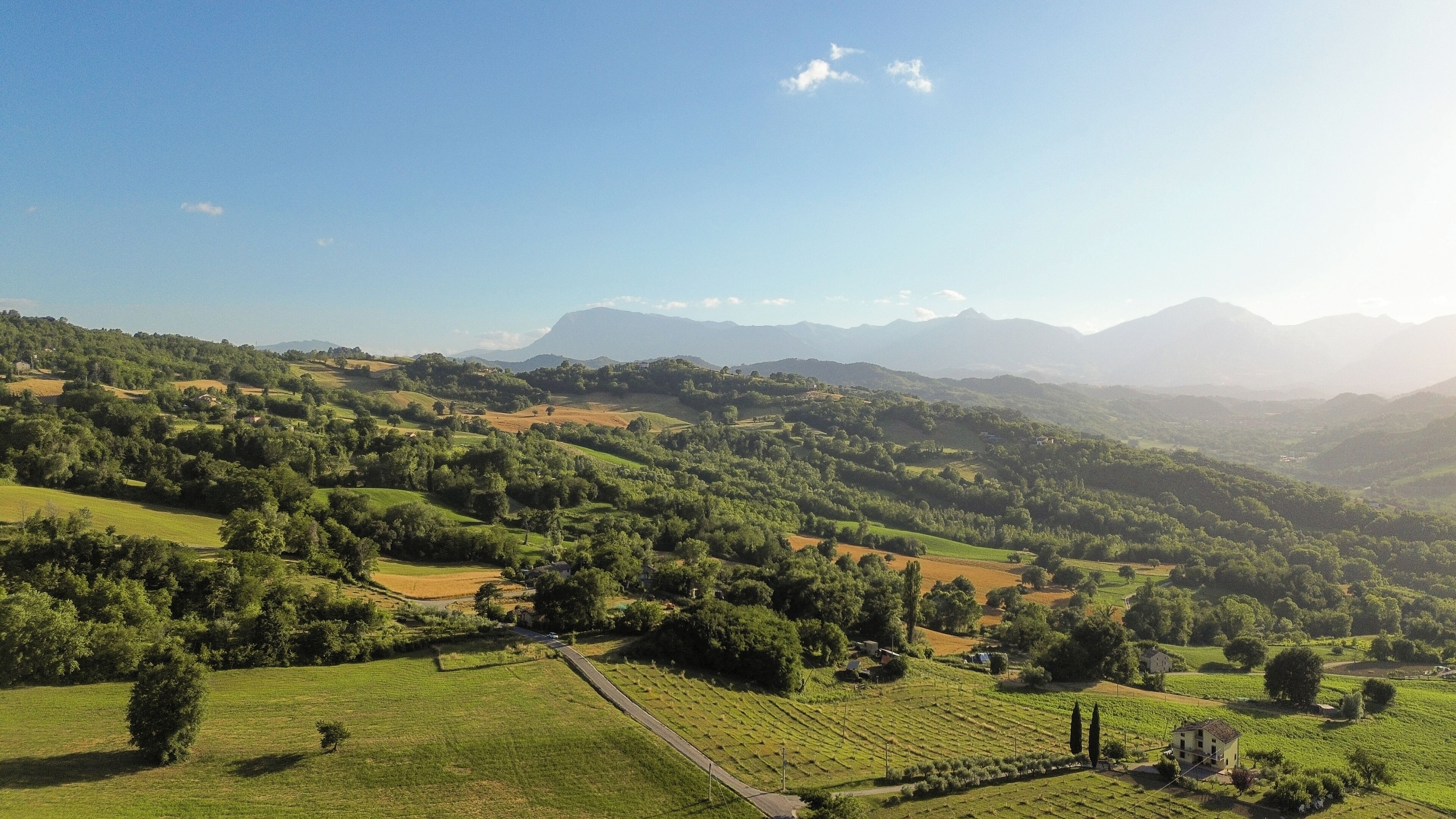 Une vue panoramique d’un paysage vallonné, avec des champs, des arbres épars et des montagnes à l’horizon.
