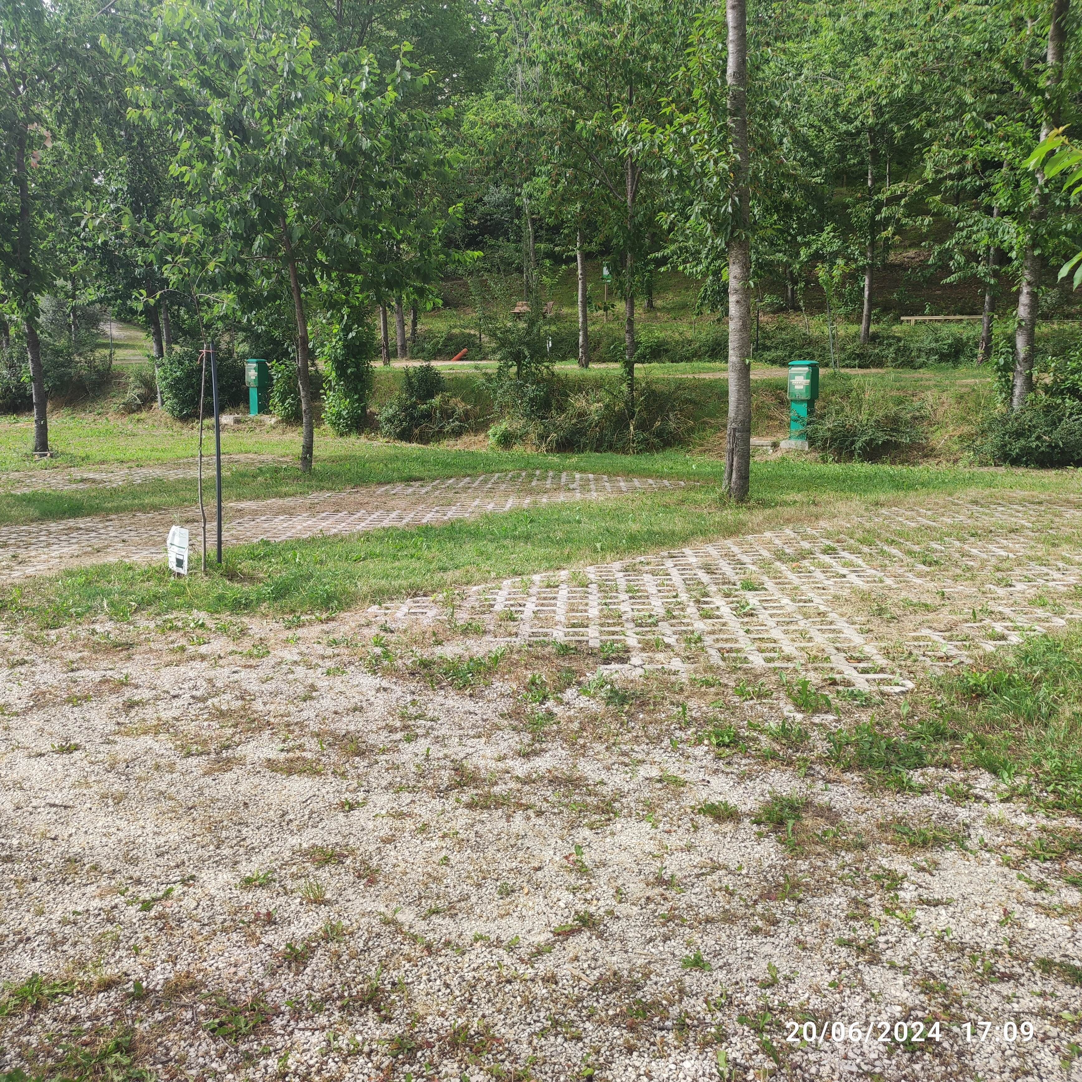Une zone dallée, avec un motif en forme de quadrillage, entourée de verdure et d’arbres.
