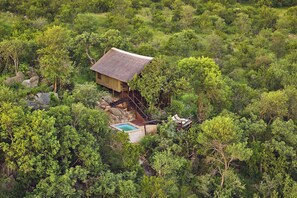 A secluded treehouse with a thatched roof, surrounded by dense forest.