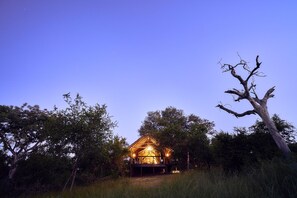 Eine Holzhütte mit Veranda, umgeben von Bäumen und Gras.