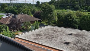 Ein mit Kies befestigtes Dach, umgeben von Bäumen und Stromleitungen.