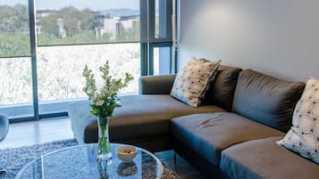 TV, DVD player, stereo