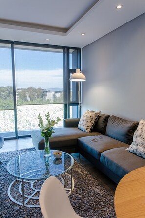 TV, DVD player, stereo - New luxury apartment in a prime location in the trendy Green Point with sea views! (Cape Town)