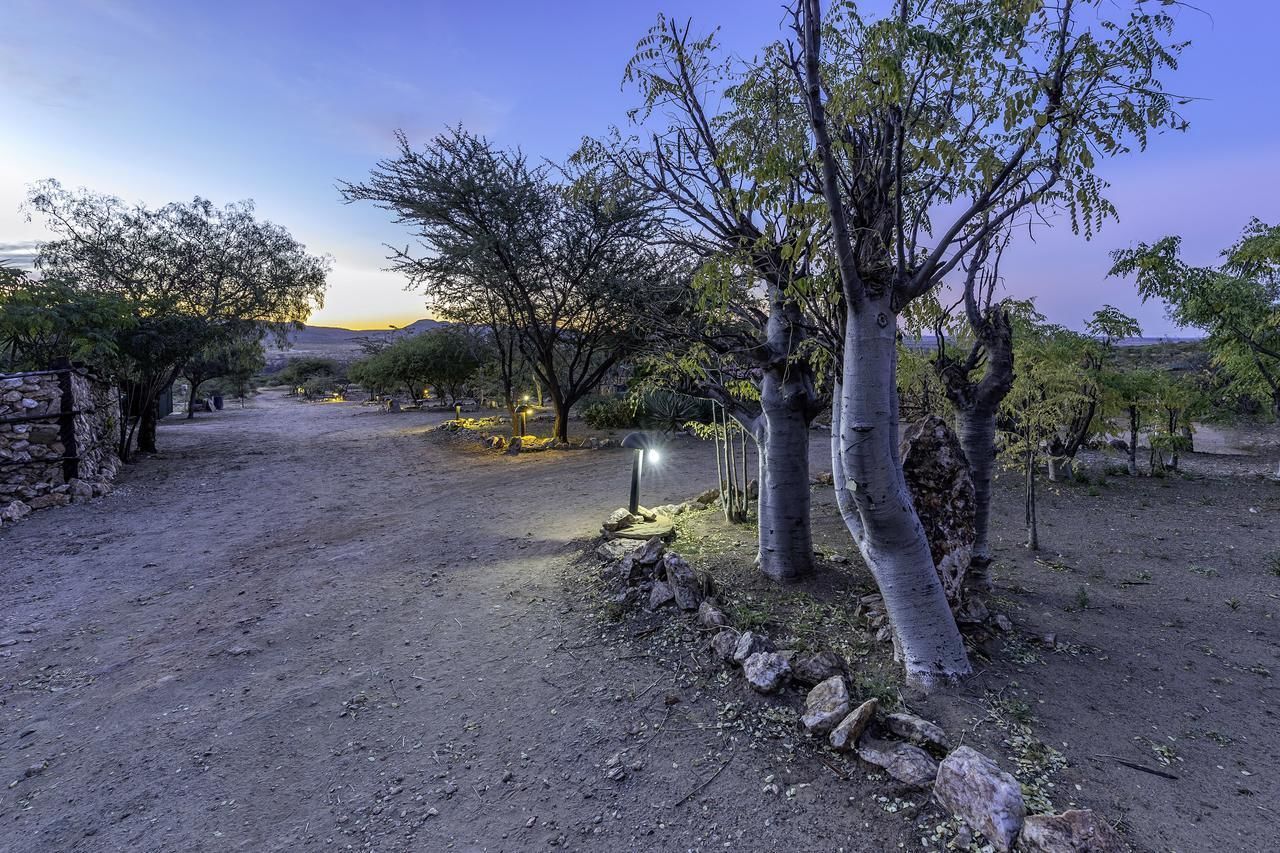 A dirt path leading through a landscaped area with trees and a stone wall.