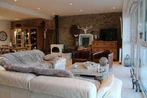 Télévision, cheminée, lecteur de DVD, livres