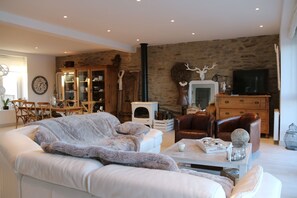 Télévision, cheminée, lecteur de DVD, livres