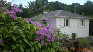 Una casa blanca con techo gris, rodeada de abundante follaje y flores moradas.