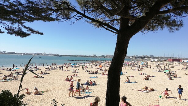 Une plage bondée où les gens se prélassent au soleil et se baignent.