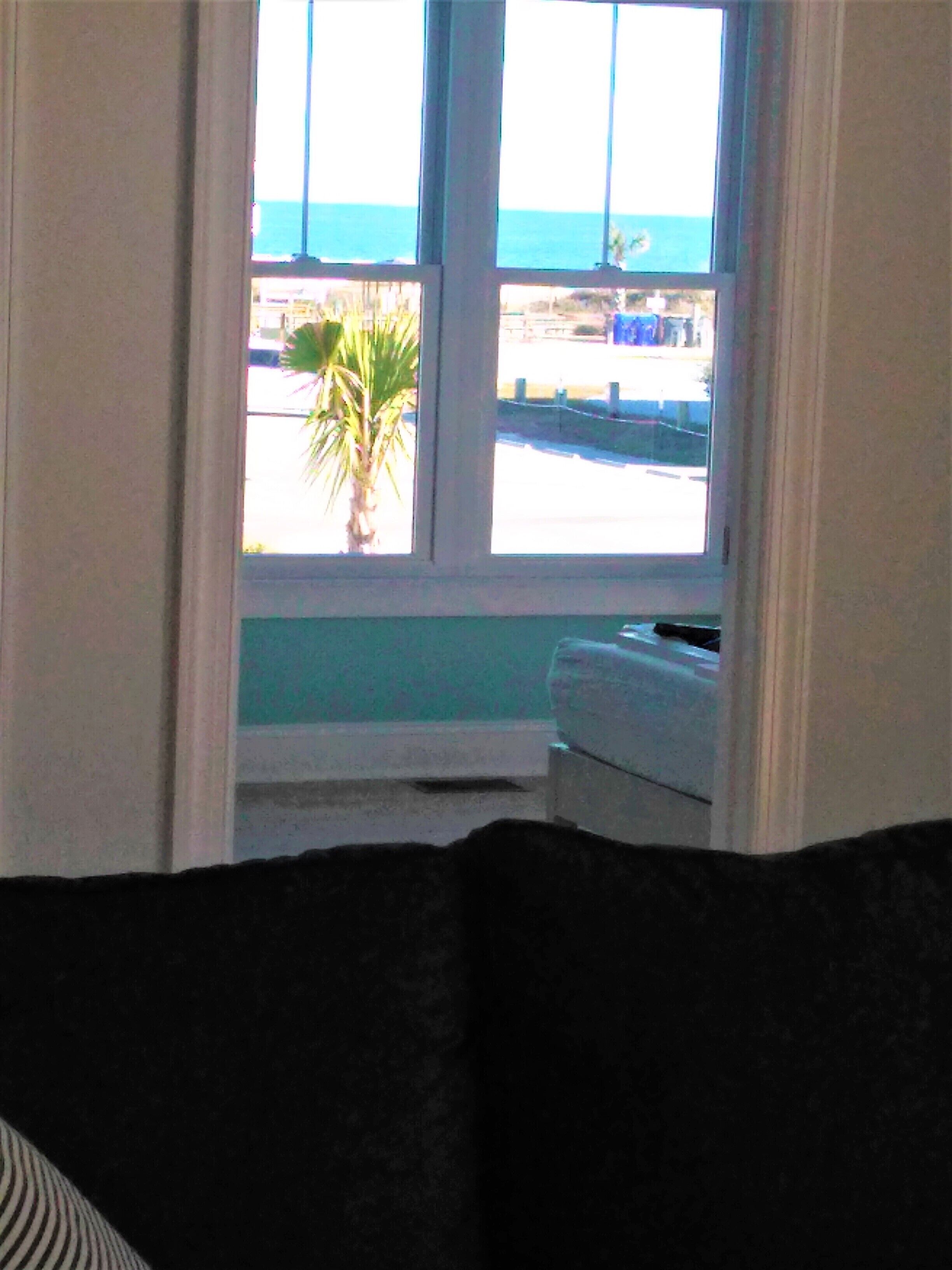 A room with a window overlooking a street and a palm tree.