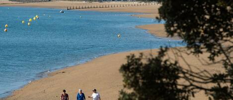 بالقرب من الشاطئ