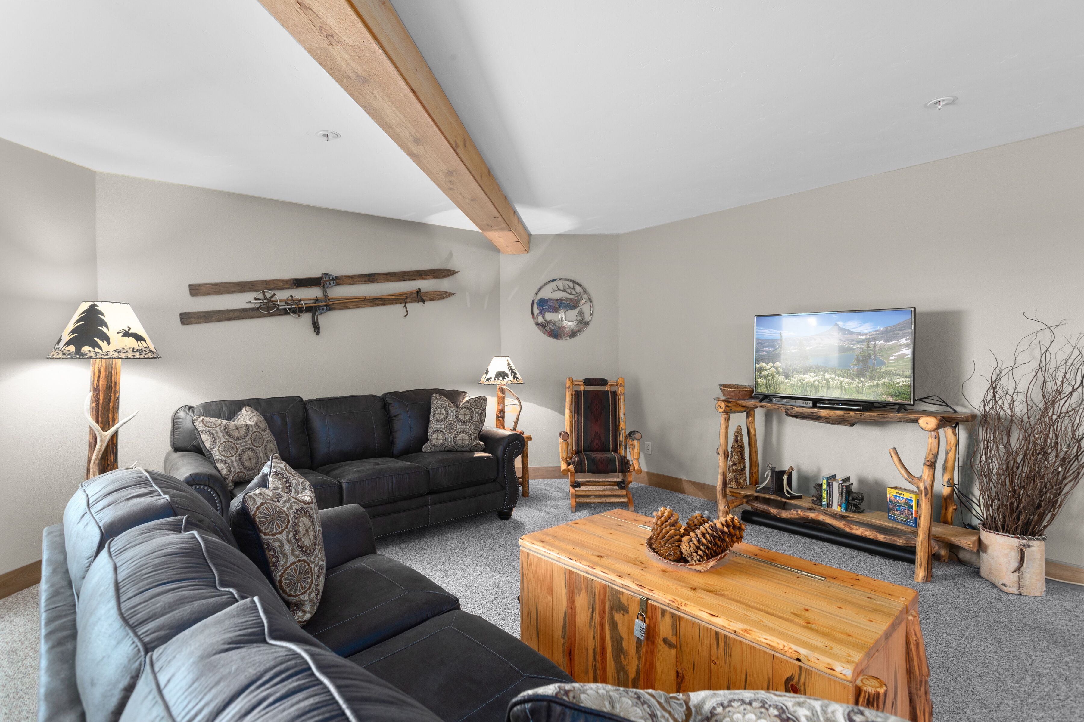 电视、壁炉、DVD 播放器、书