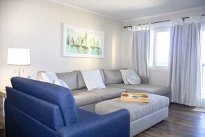 Smart TV, DVD player, books